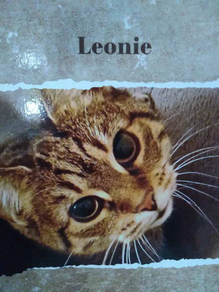 Image from Leonie