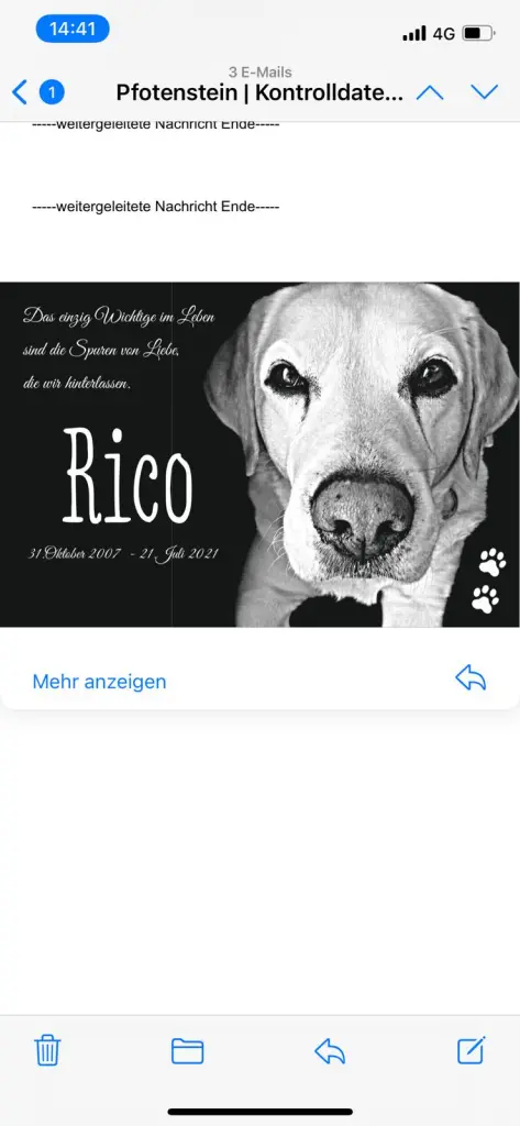 Image from Rico