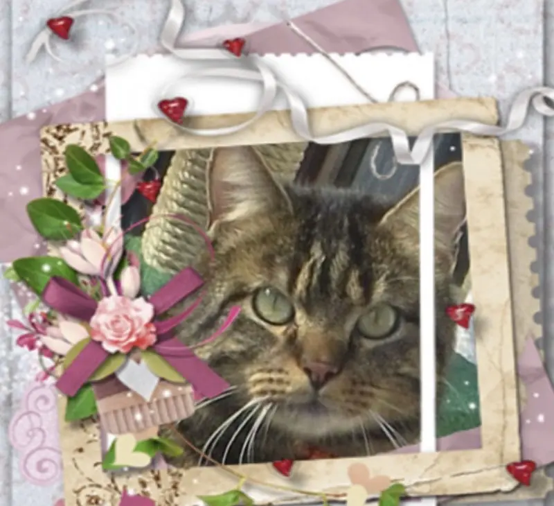 Condolence image of Carmen