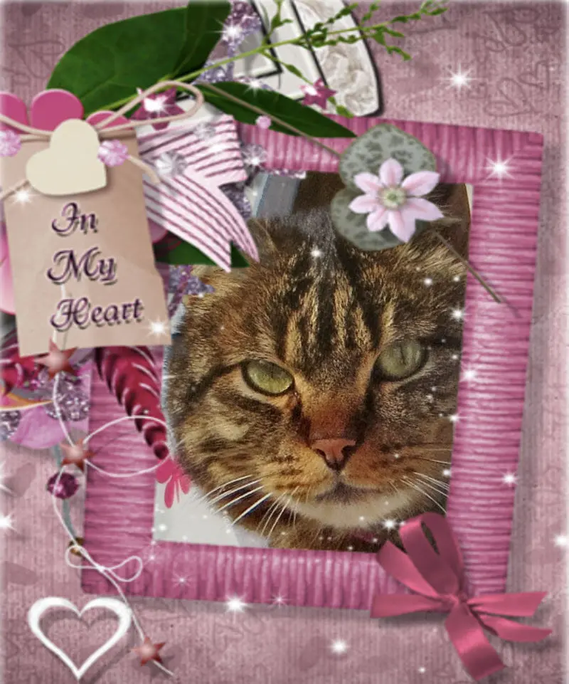 Condolence image of Carmen 