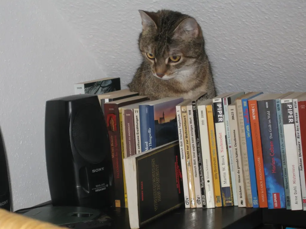 Condolence image of Elisabeth 