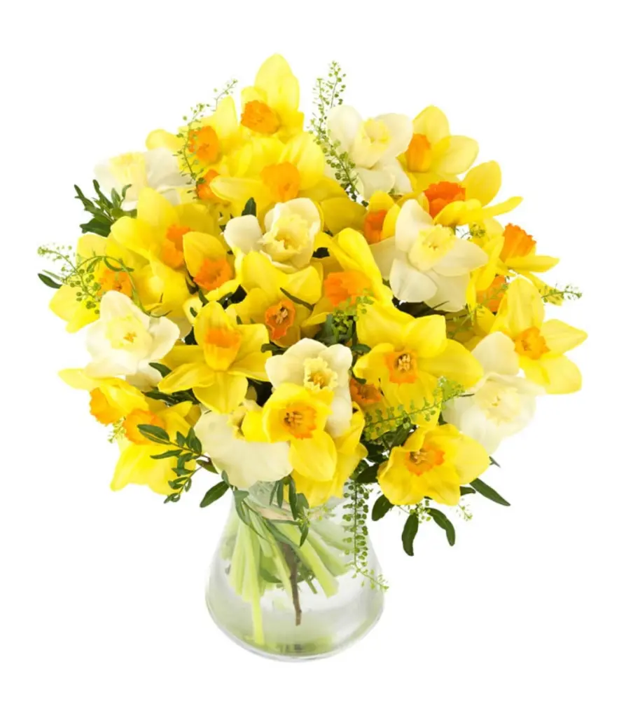 Condolence image of Daniela mit Pauline im ♥️ (+27.05.2021)