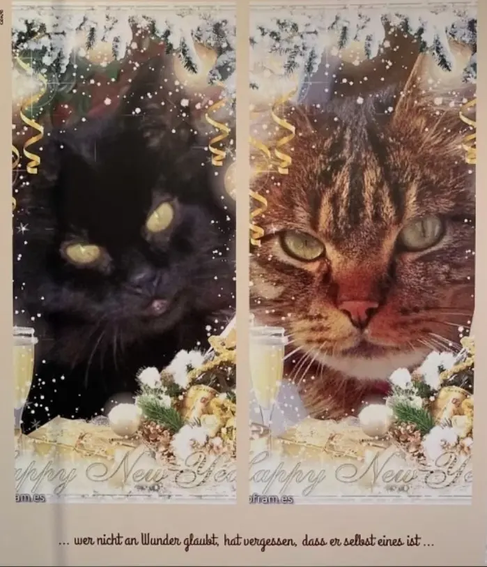 Condolence image of Eure liebende Familie 