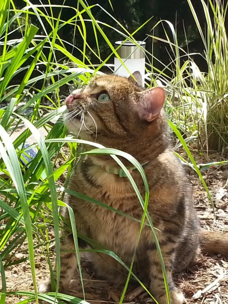Condolence image of Daniela mit Pauline im ♥️