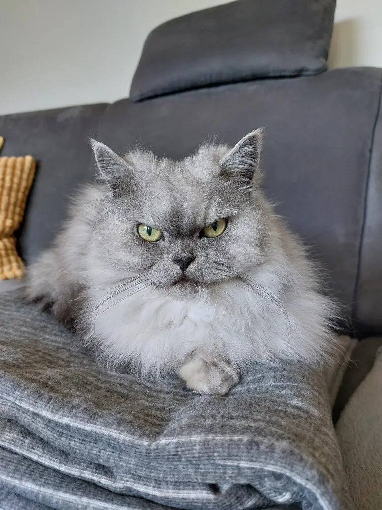 Condolence image of Daniela  mit Pauline im ♥️