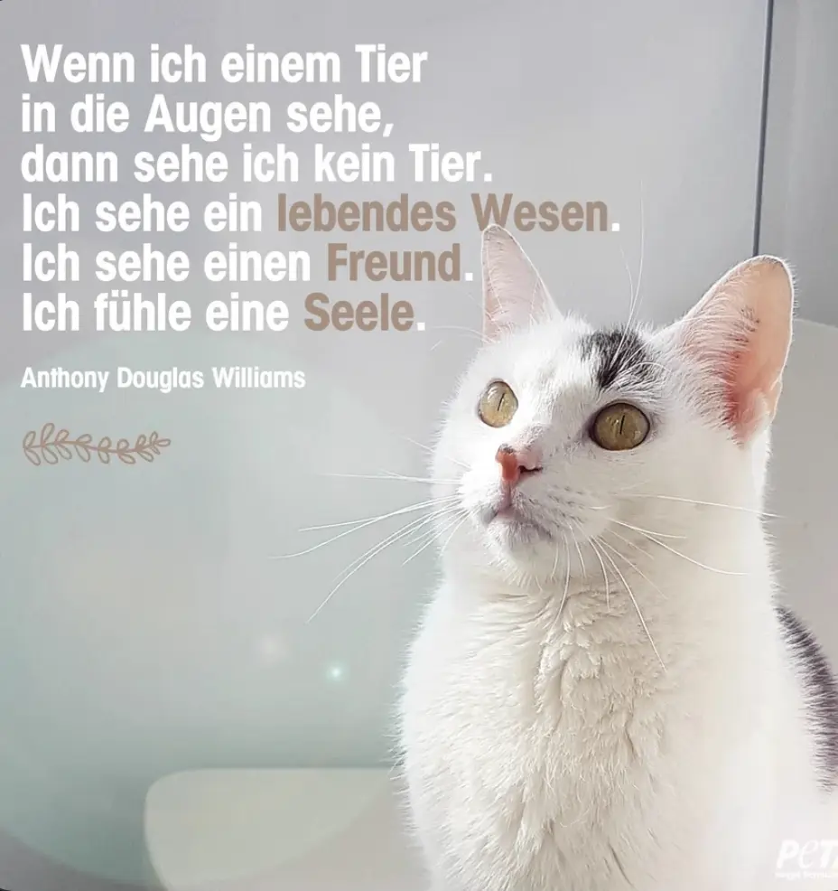 Condolence image of Daniela  mit Pauline im ♥️