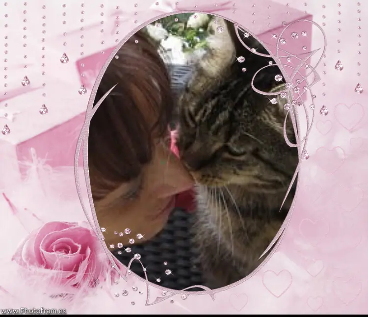 Condolence image of Deine Menschenmami 