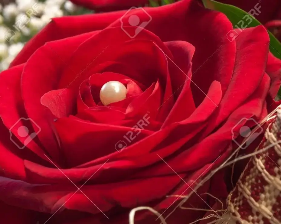 Condolence image of Sternchenpost ♥