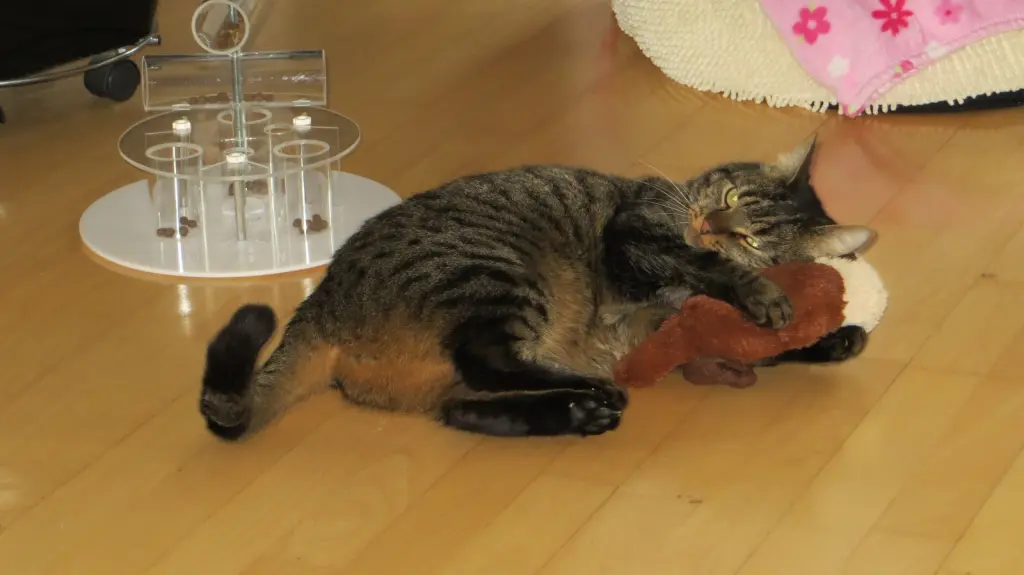 Condolence image of Ravis Menschenmami