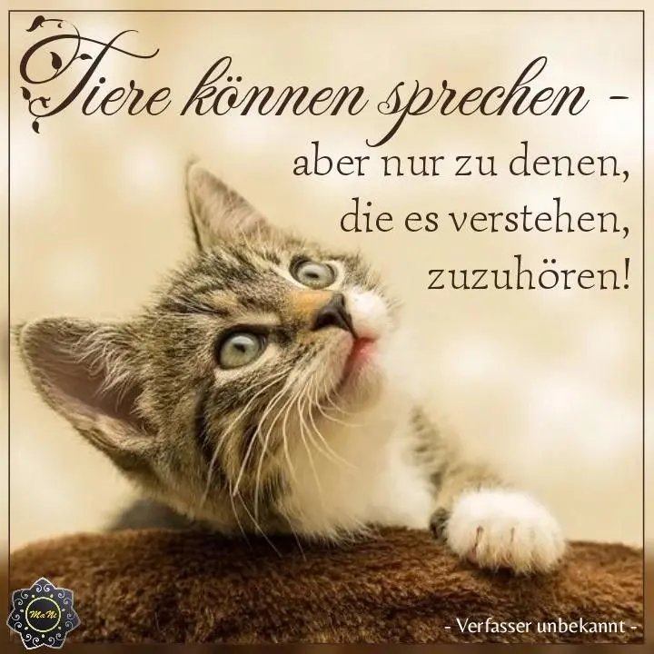 Condolence image of Für Ravi ❤️ und Mama Carmen 