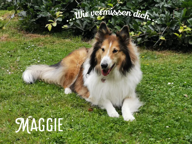 Condolence image of Ina mit Maggie im Herzen