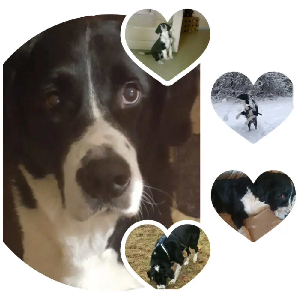 Image from Balu