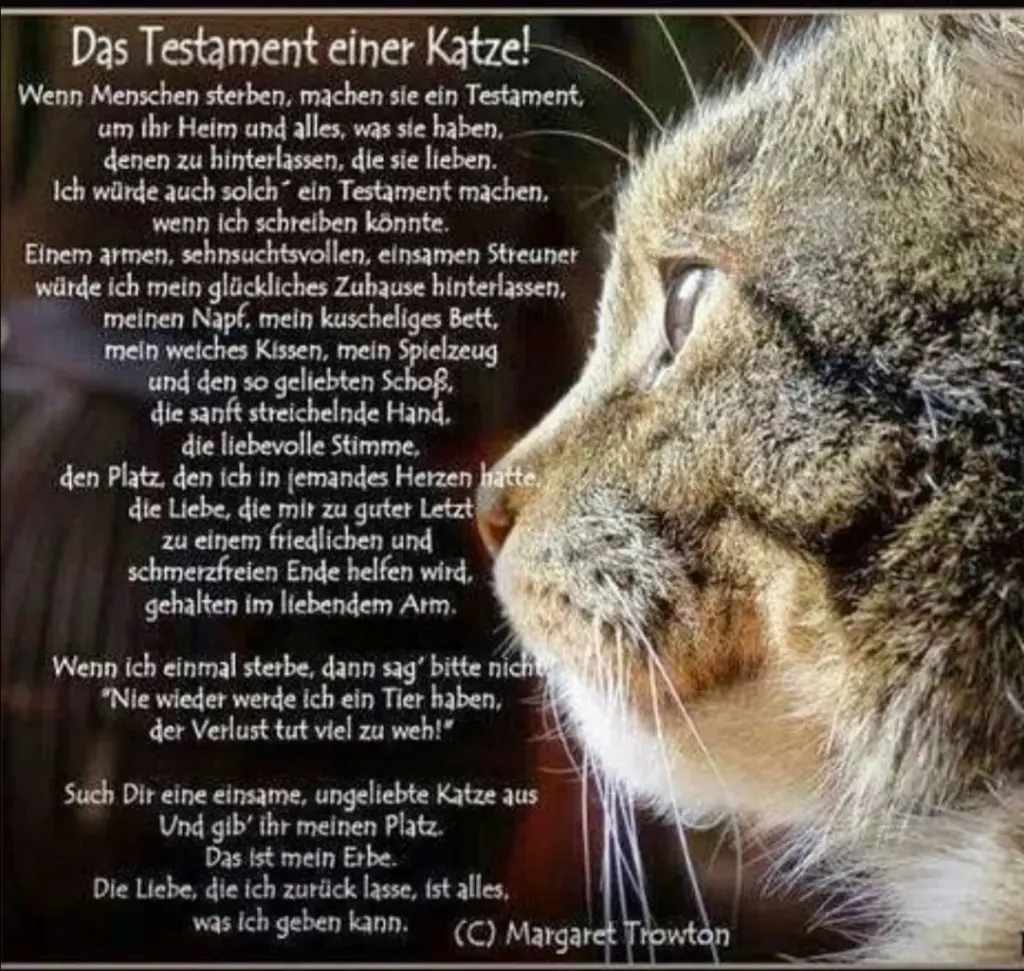 Image from Püppie