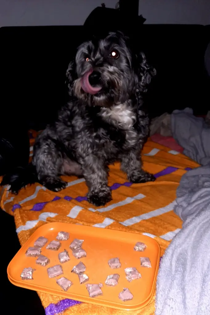 Image from Blacky