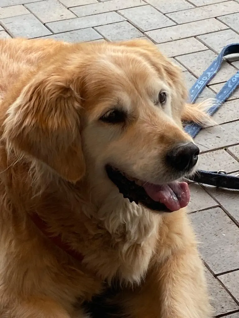 Image from Rusty