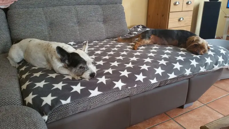 Condolence image of Christine