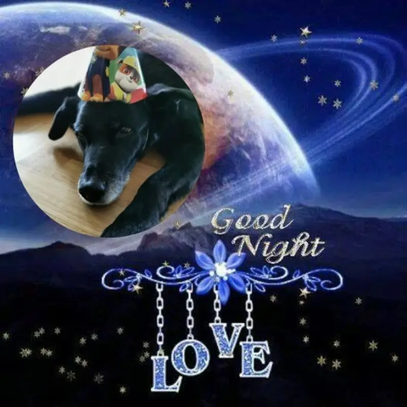 Condolence image of Gute Nacht❤️❤️❤️
