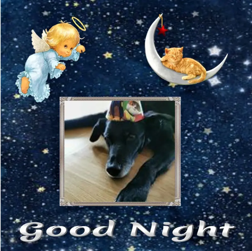 Condolence image of Gute Nacht❤️❤️❤️Mauschen❤️❤️❤️