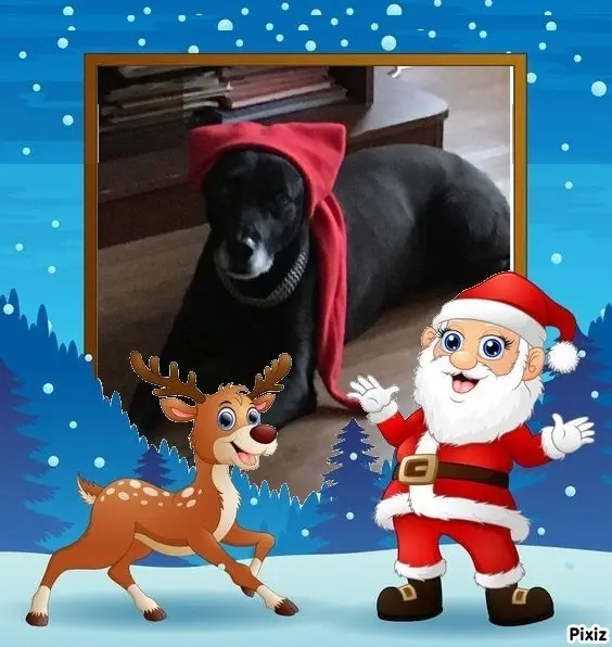 Condolence image of Liebe Weihnachtsgrüße ❤️