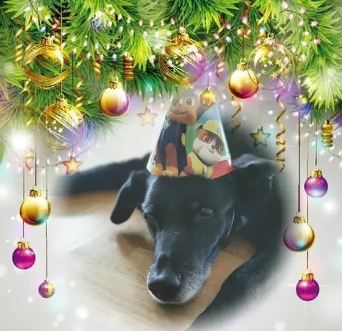 Condolence image of Frohe❤❤❤Weihnachten❤❤❤