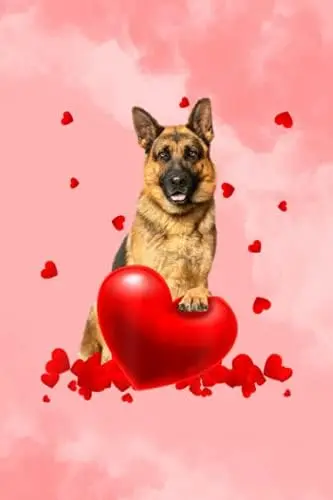 Condolence image of ❤️❤️❤️❤️❤️❤️❤️❤️❤️❤️❤️❤️
