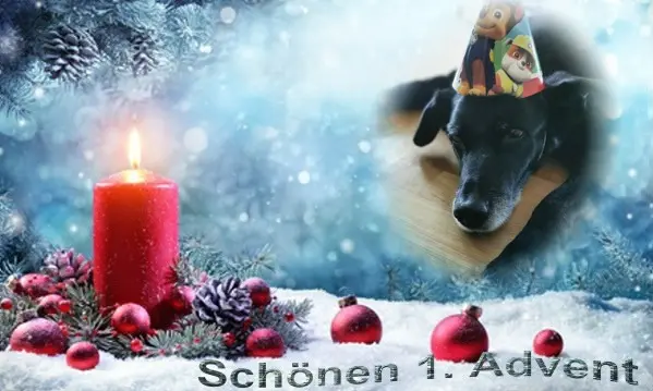 Condolence image of 1.Advent❤Sonntag❤