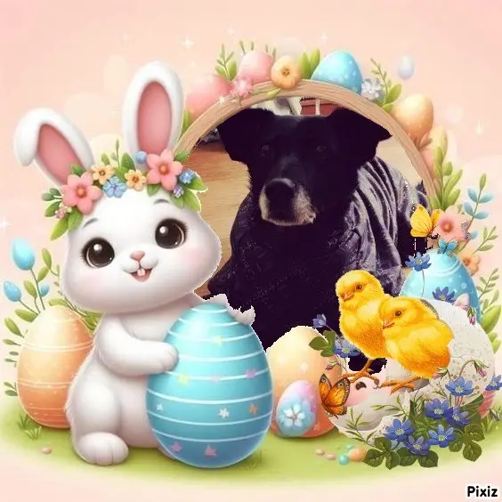 Condolence image of Ostergrüße ❤️
