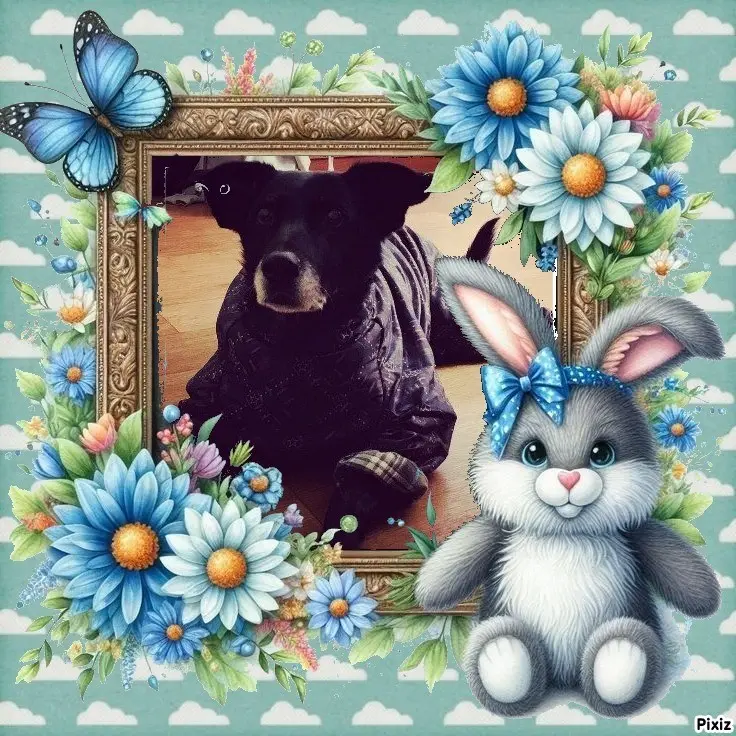 Condolence image of .Frohe Ostern 