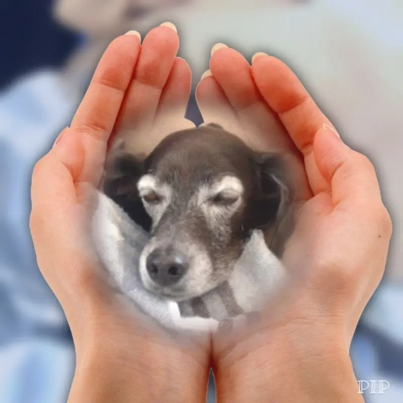 Condolence image of Erika