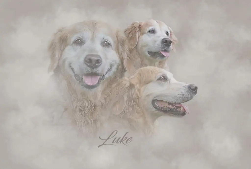 Image from Luke