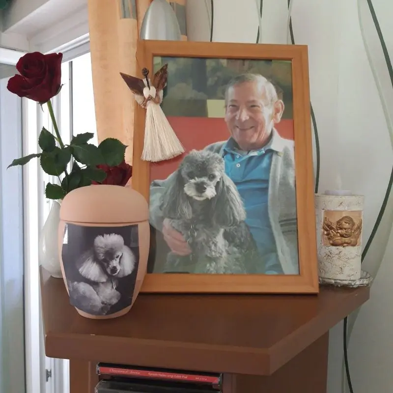 Condolence image of Doris