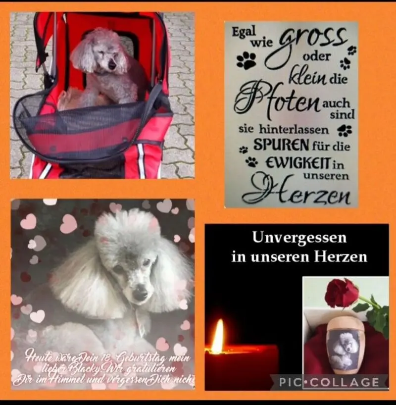 Condolence image of Doris