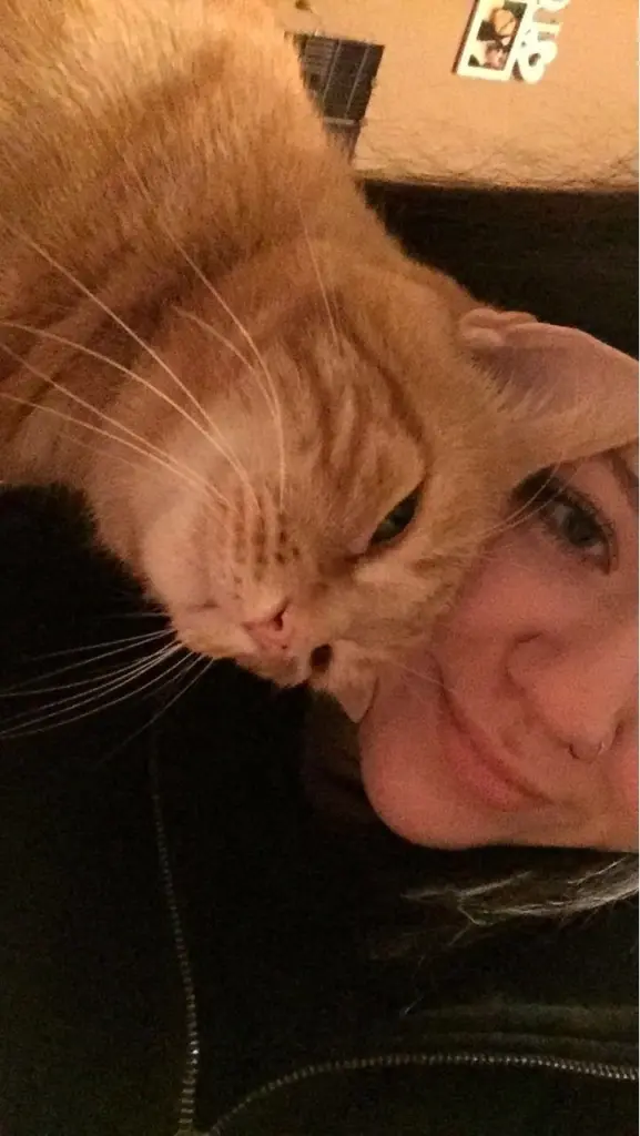 Image from Garfield 