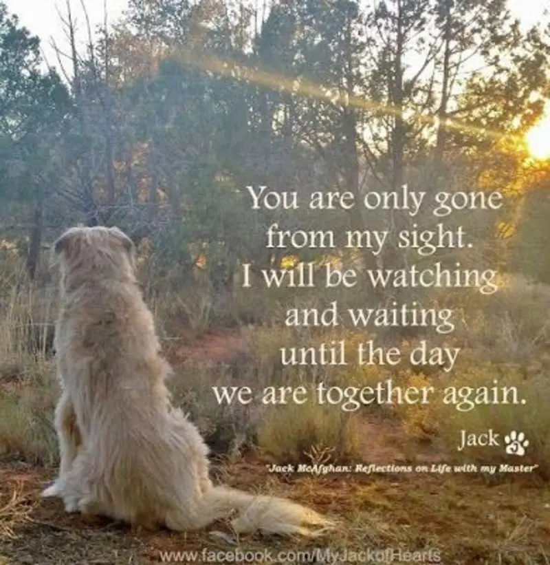 Andachtsbild von Andrea mit Minki im ❤ gest.19.10.2020