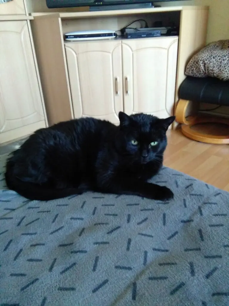 Condolence image of Heike 