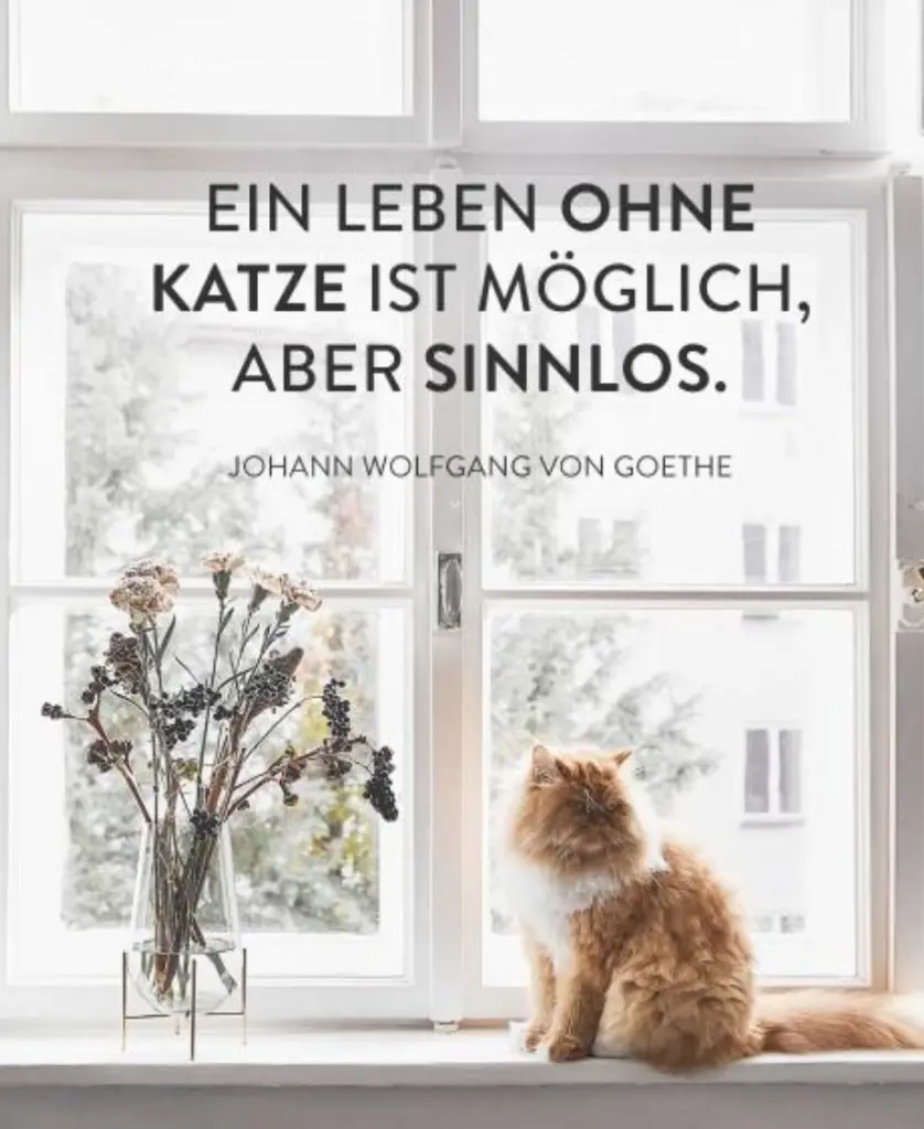 Condolence image of Daniela  mit Paulinchen im ❤️