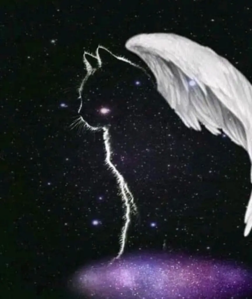Condolence image of Mama Carmen 