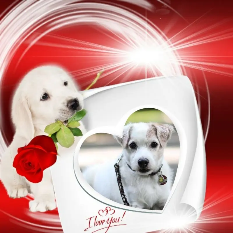 Condolence image of 2. Sternchen❤️Gedenktag❤️❤️