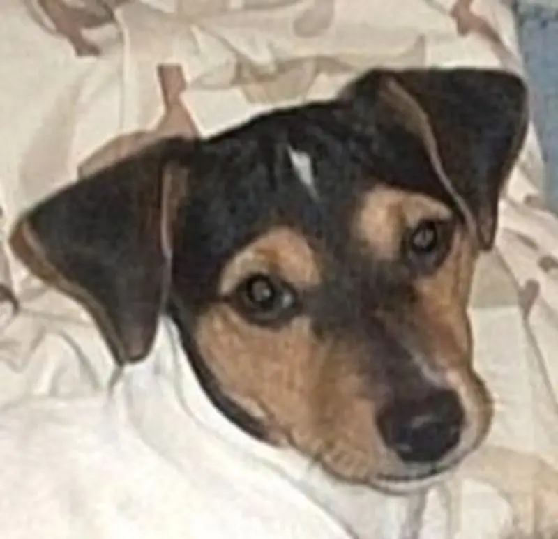 Condolence image of Peter aus Köln