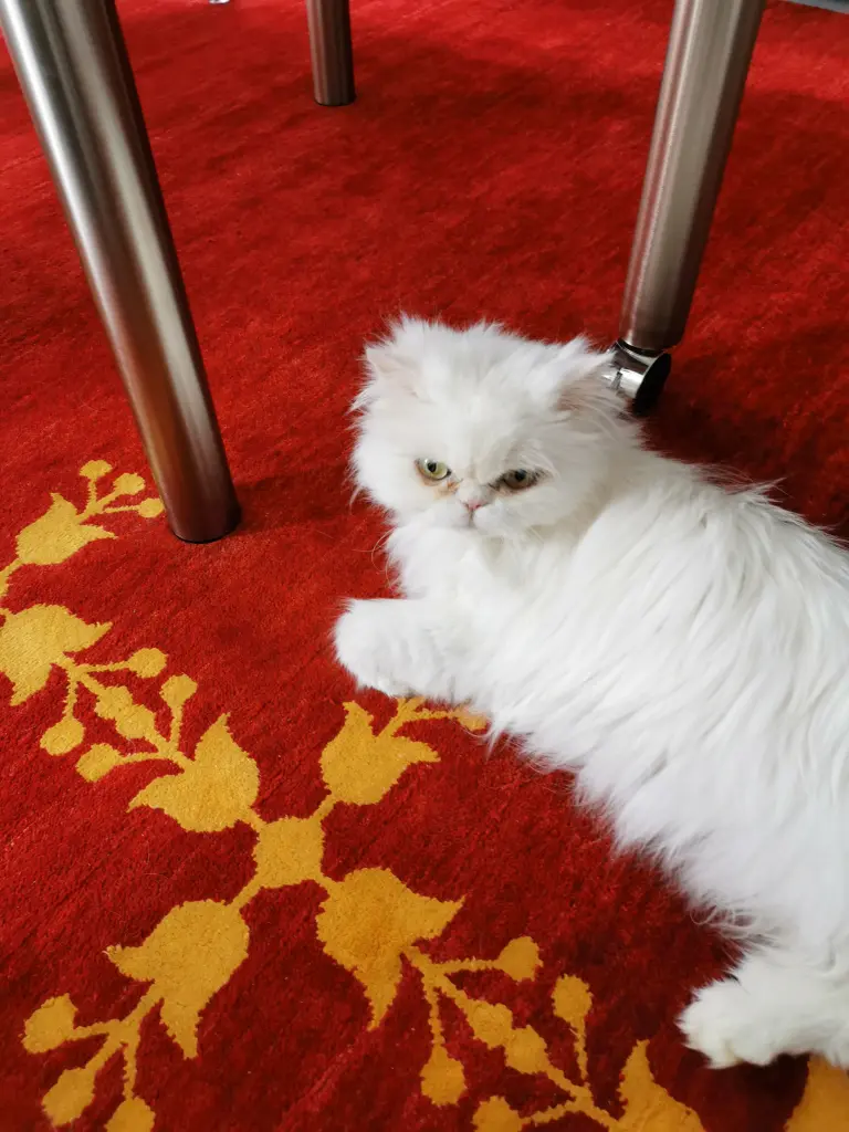 Image from Malou
