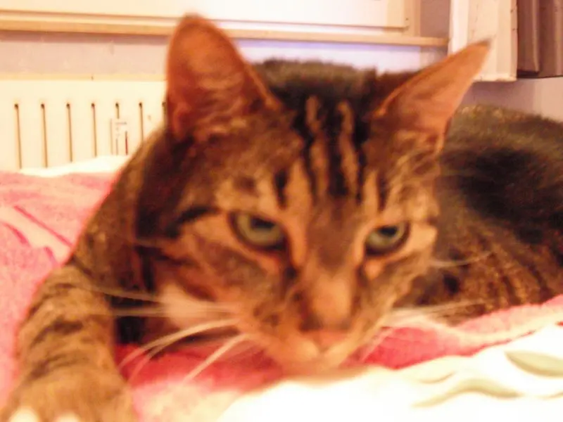 Andachtsbild von Karin und Benni