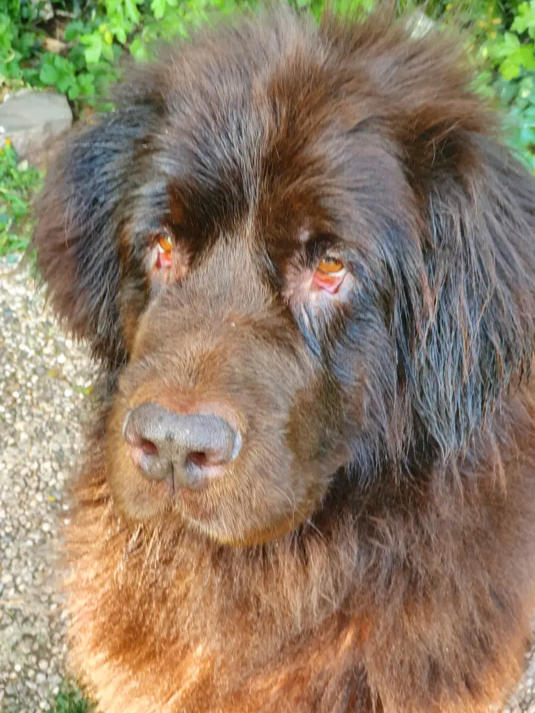 Bild von Kathy