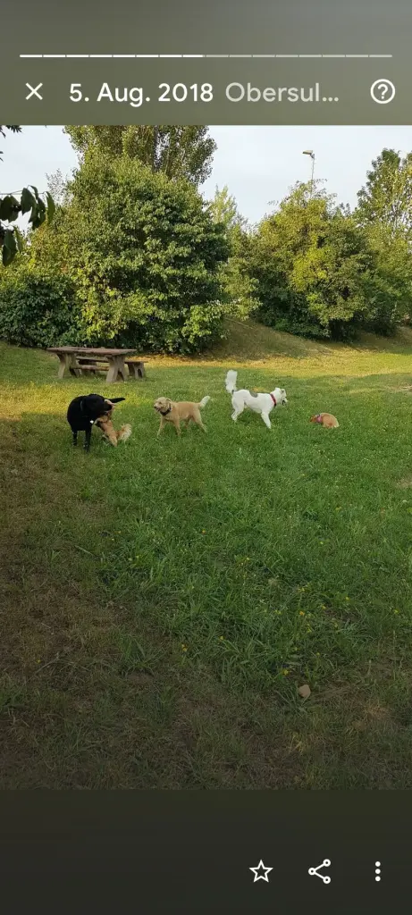 Andachtsbild von Oliver