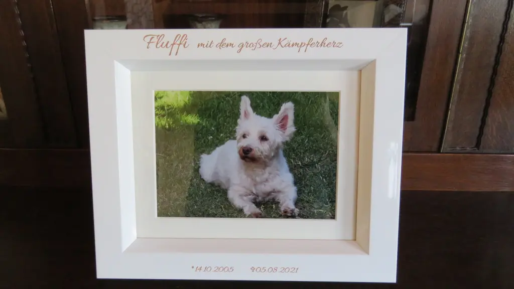 Image from Fluffi