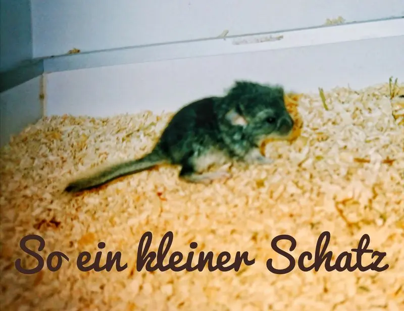 Condolence image of Unbekannt