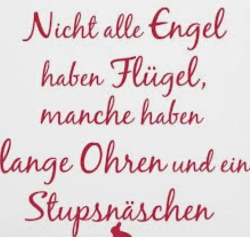 Condolence image of Andrea mit Mausi im Herzen