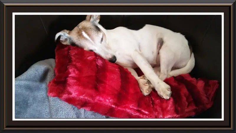 Condolence image of Ewald +Elfi
