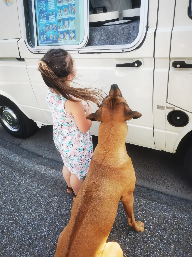Image from Nala