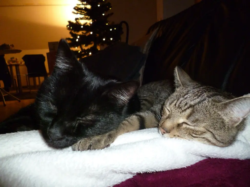 Image from Stormy