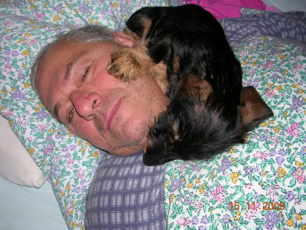 Image from Marley